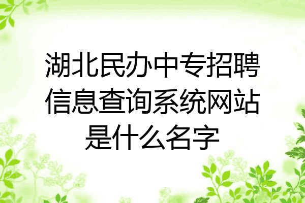 湖北民办中专招聘信息查询系统网站是什么名字