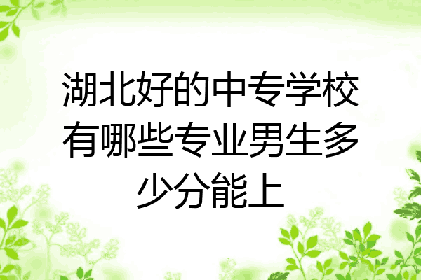 湖北好的中专学校有哪些专业男生多少分能上