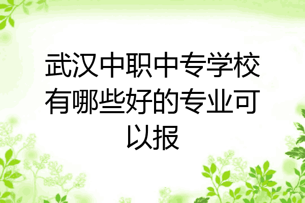 武汉中职中专学校有哪些好的专业可以报