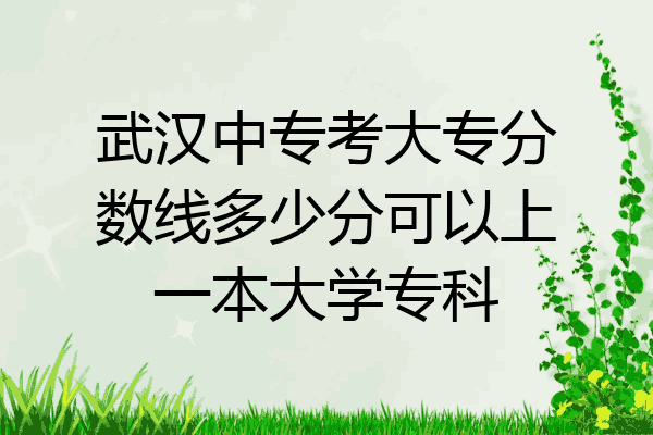 武汉中专考大专分数线多少分可以上一本大学专科