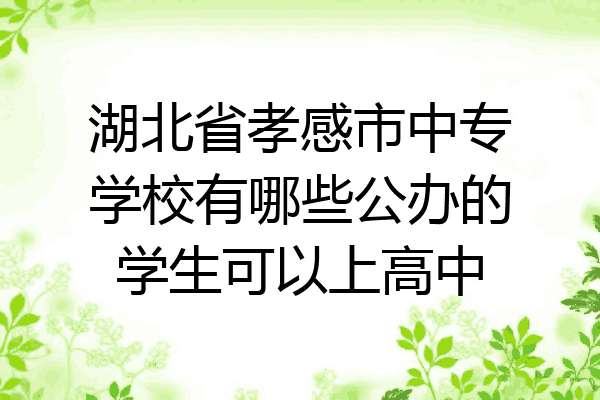 湖北省孝感市中专学校有哪些公办的学生可以上高中