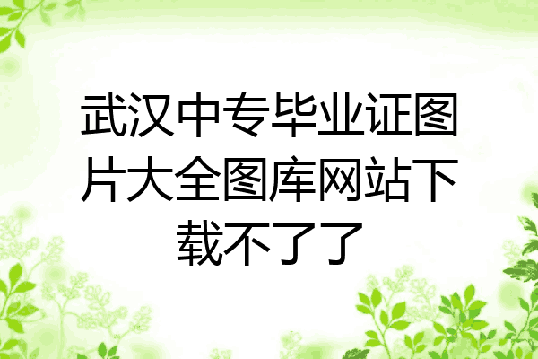 武汉中专毕业证图片大全图库网站下载不了了