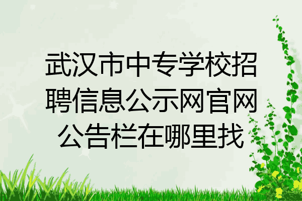 武汉市中专学校招聘信息公示网官网公告栏在哪里找