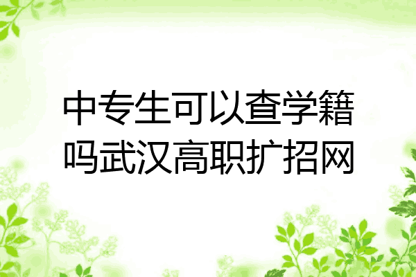 中专生可以查学籍吗武汉高职扩招网
