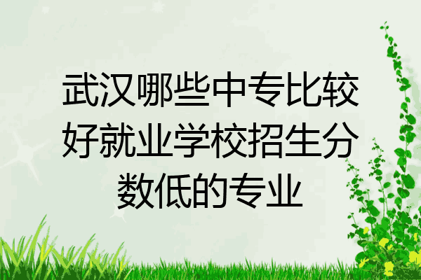 武汉哪些中专比较好就业学校招生分数低的专业