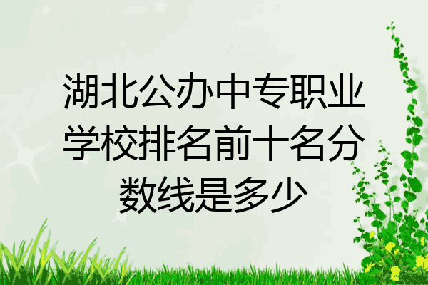 湖北公办中专职业学校排名前十名分数线是多少