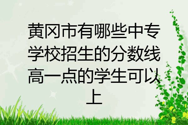 黄冈市有哪些中专学校招生的分数线高一点的学生可以上