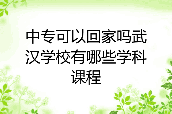 中专可以回家吗武汉学校有哪些学科课程