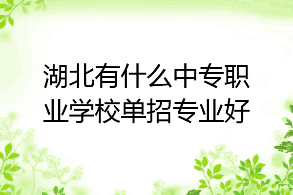 湖北有什么中专职业学校单招专业好