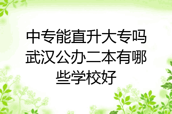 中专能直升大专吗武汉公办二本有哪些学校好