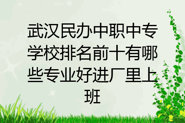 武汉民办中职中专学校排名前十有哪些专业好进厂里上班