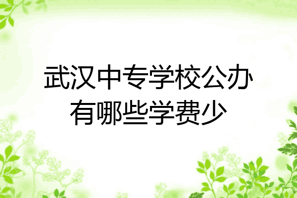 武汉中专学校公办有哪些学费少