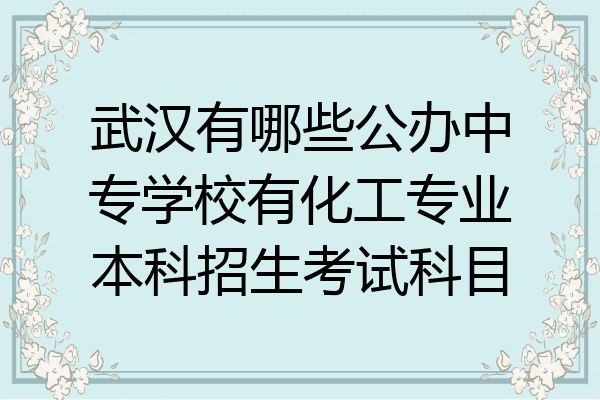武汉有哪些公办中专学校有化工专业本科招生考试科目