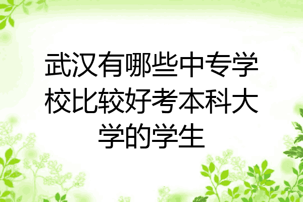 武汉有哪些中专学校比较好考本科大学的学生