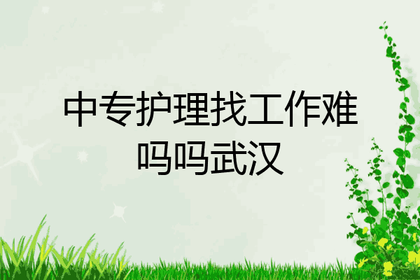 中专护理找工作难吗吗武汉