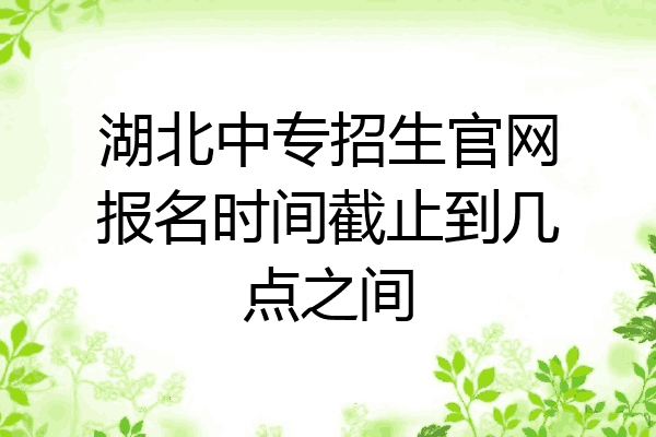 湖北中专招生官网报名时间截止到几点之间