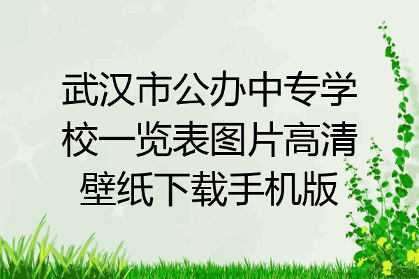 武汉市公办中专学校一览表图片高清壁纸下载手机版