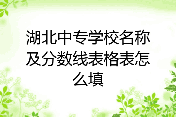 湖北中专学校名称及分数线表格表怎么填