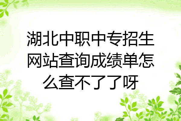 湖北中职中专招生网站查询成绩单怎么查不了了呀