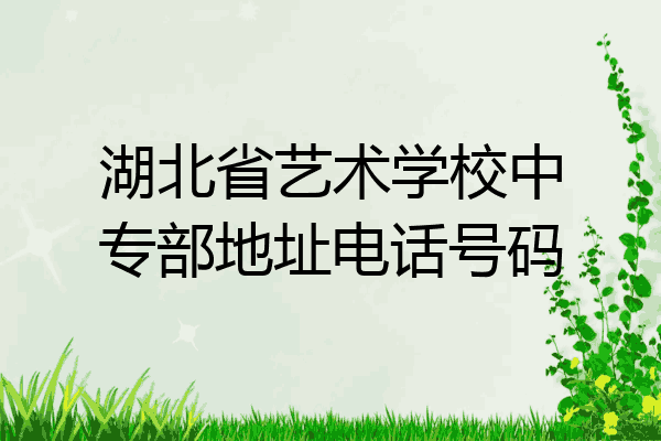 湖北省艺术学校中专部地址电话号码