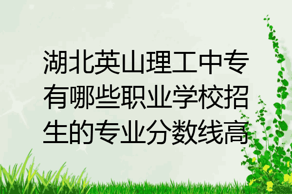 湖北英山理工中专有哪些职业学校招生的专业分数线高