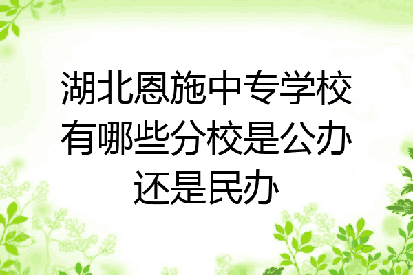 湖北恩施中专学校有哪些分校是公办还是民办