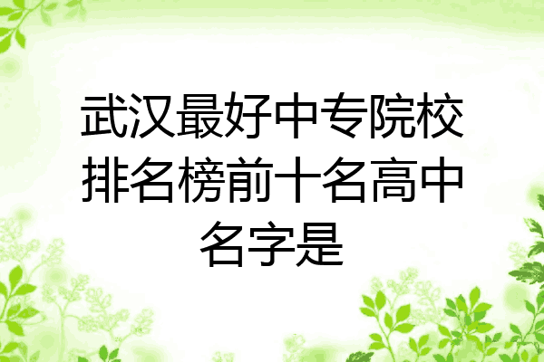 武汉最好中专院校排名榜前十名高中名字是