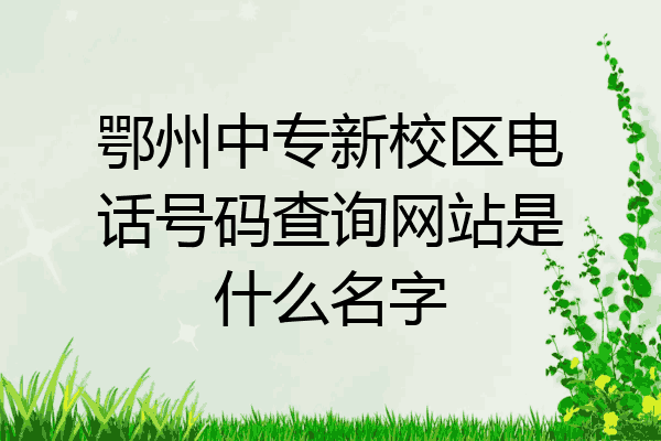 鄂州中专新校区电话号码查询网站是什么名字