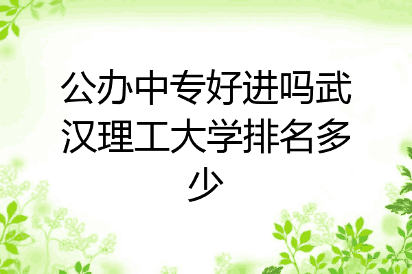 公办中专好进吗武汉理工大学排名多少