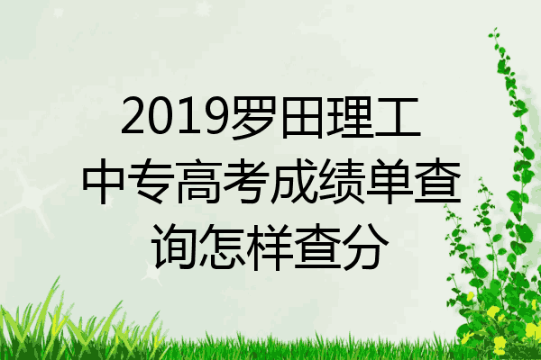 2019罗田理工中专高考成绩单查询怎样查分