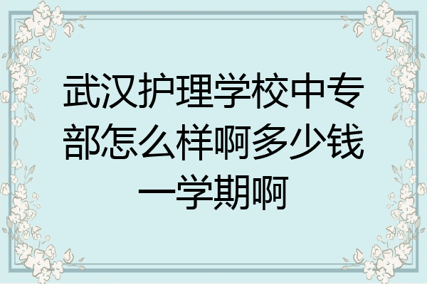 武汉护理学校中专部怎么样啊多少钱一学期啊