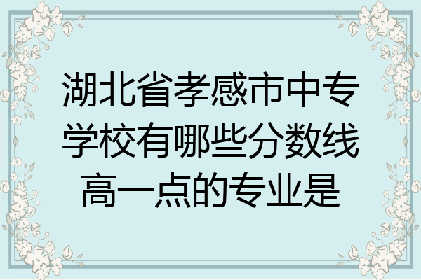 湖北省孝感市中专学校有哪些分数线高一点的专业是