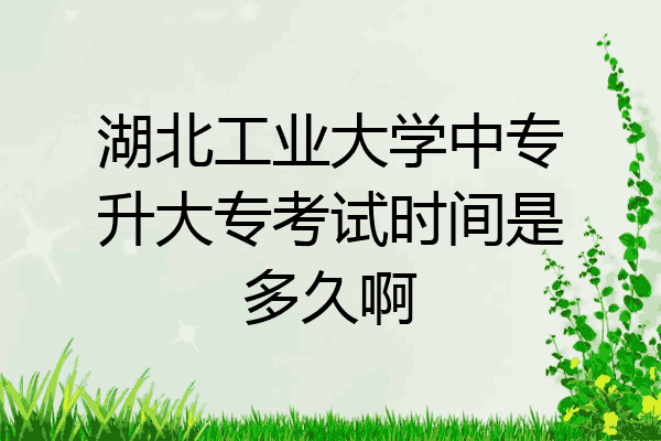 湖北工业大学中专升大专考试时间是多久啊