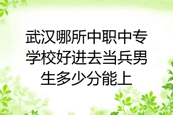 武汉哪所中职中专学校好进去当兵男生多少分能上