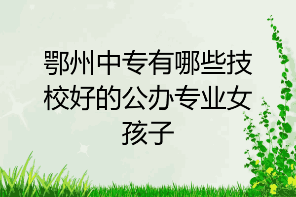 鄂州中专有哪些技校好的公办专业女孩子