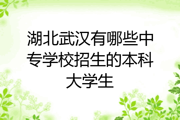湖北武汉有哪些中专学校招生的本科大学生