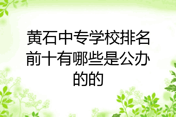 黄石中专学校排名前十有哪些是公办的的