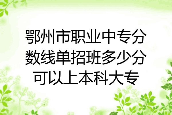 鄂州市职业中专分数线单招班多少分可以上本科大专