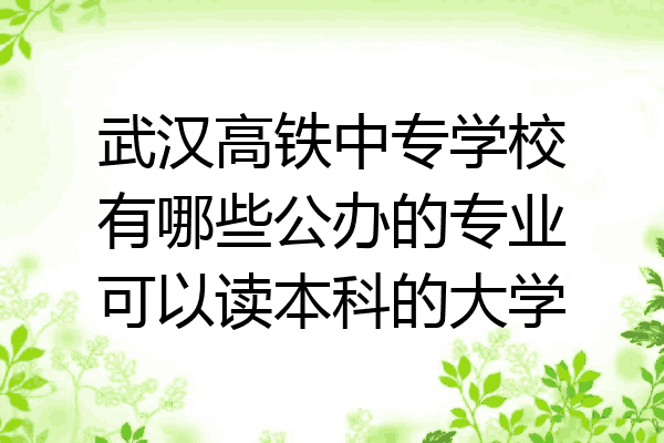 武汉高铁中专学校有哪些公办的专业可以读本科的大学