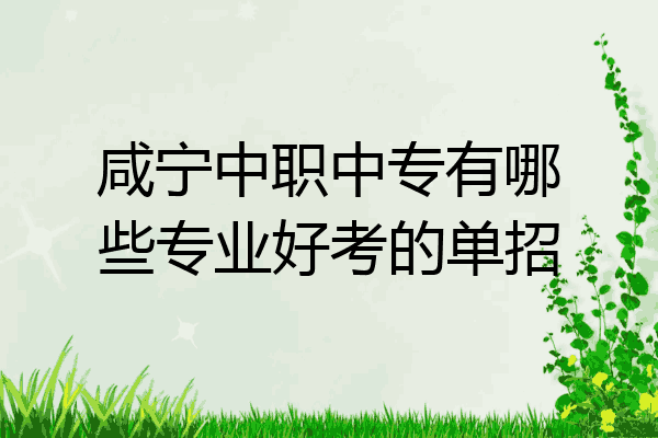咸宁中职中专有哪些专业好考的单招