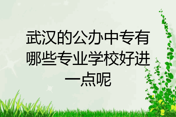 武汉的公办中专有哪些专业学校好进一点呢