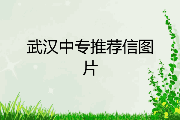武汉中专推荐信图片