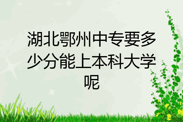 湖北鄂州中专要多少分能上本科大学呢