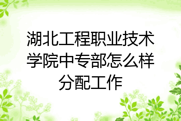 湖北工程职业技术学院中专部怎么样分配工作