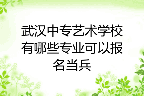武汉中专艺术学校有哪些专业可以报名当兵