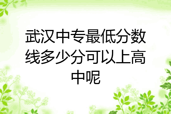 武汉中专最低分数线多少分可以上高中呢