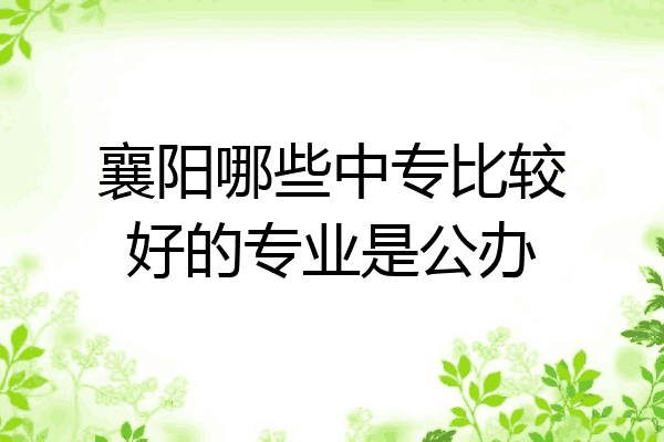 襄阳哪些中专比较好的专业是公办