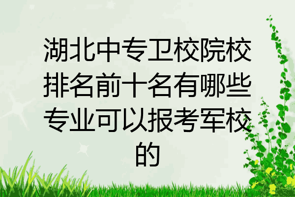 湖北中专卫校院校排名前十名有哪些专业可以报考军校的