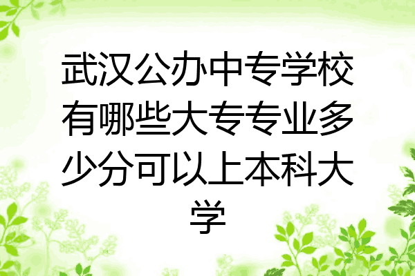 武汉公办中专学校有哪些大专专业多少分可以上本科大学