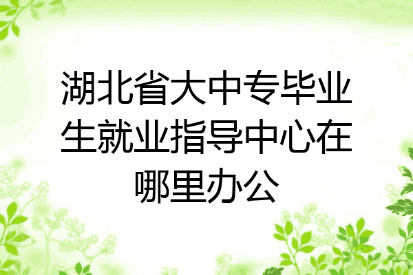 湖北省大中专毕业生就业指导中心在哪里办公